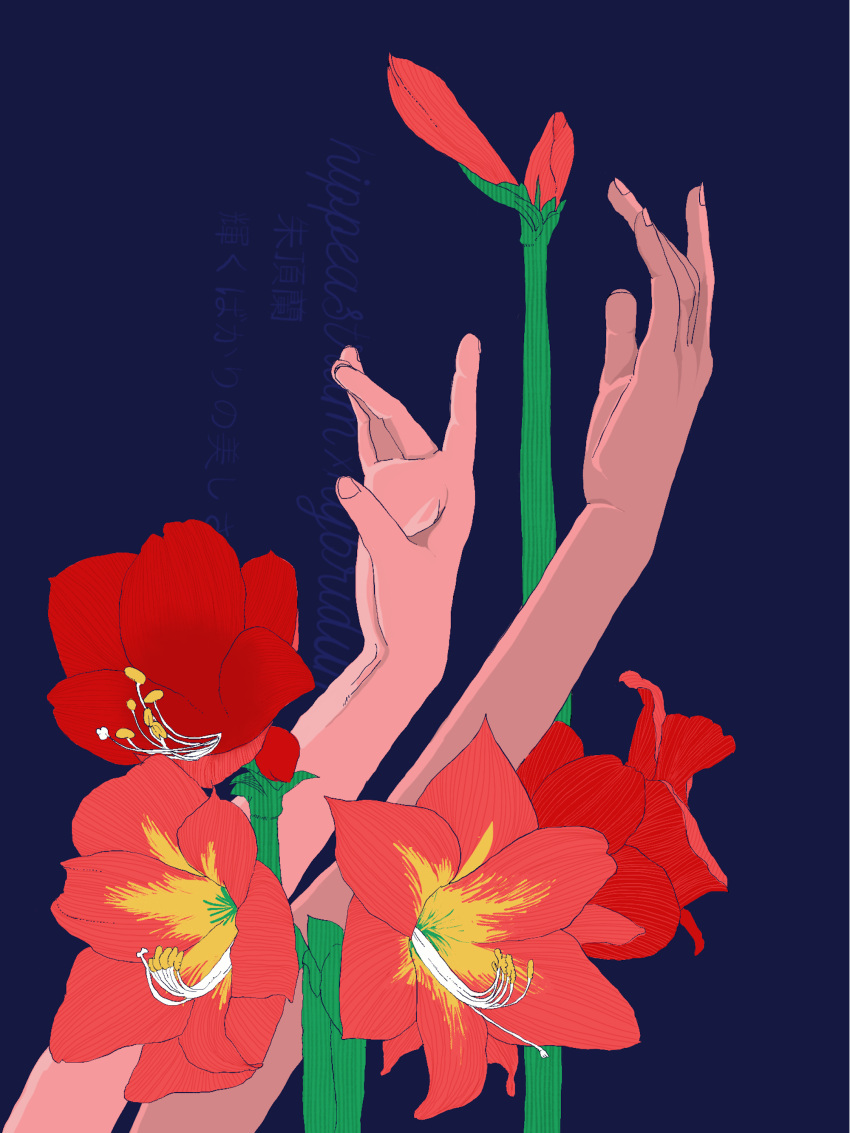 1girl, absurdres, amaryllis_(flower), arm_focus, arms_up, blue_background, bud, flower