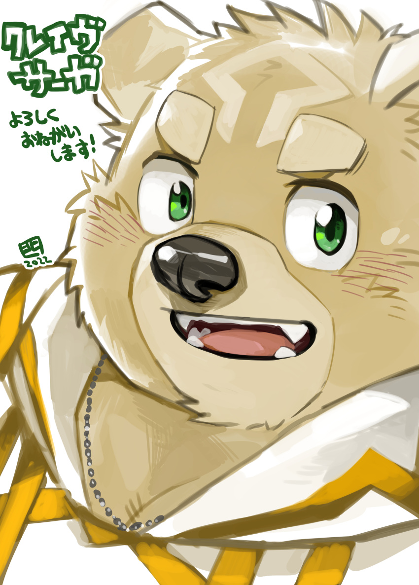 1boy, absurdres, animal_ear_fluff, animal_ears, bear_boy, bear_ears, check_translation, cloak