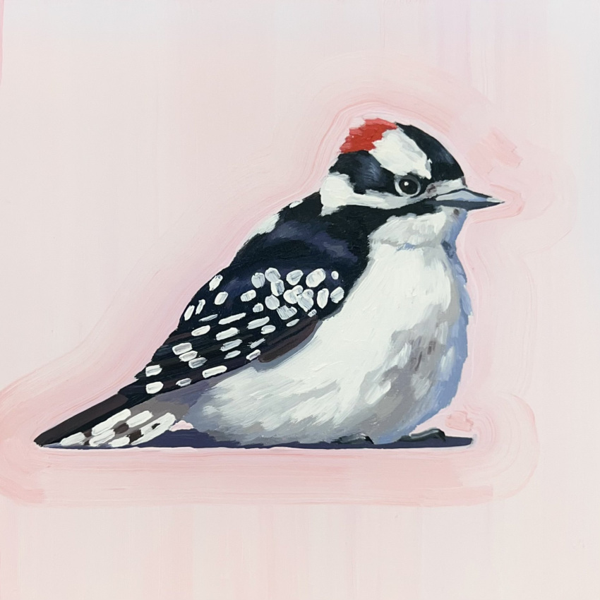animal, animal_focus, bird, downy_woodpecker, english_commentary, highres, leah_gardner, no_humans