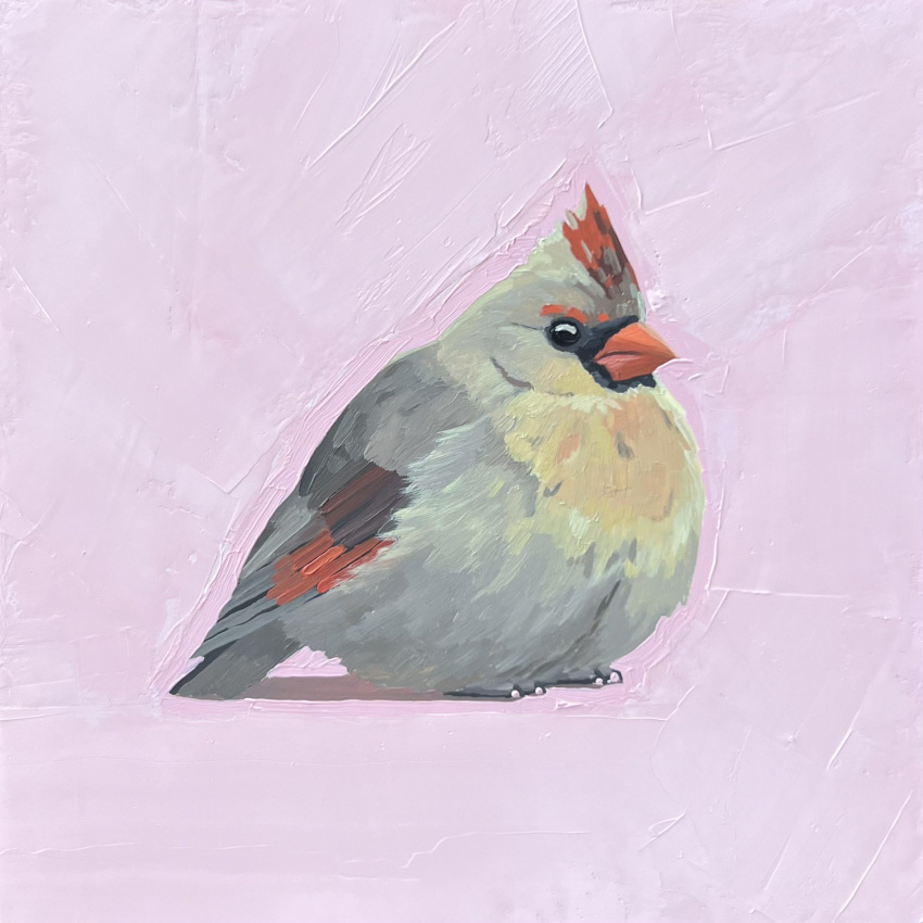 animal, animal_focus, bird, cardinal_(animal), english_commentary, highres, leah_gardner, no_humans