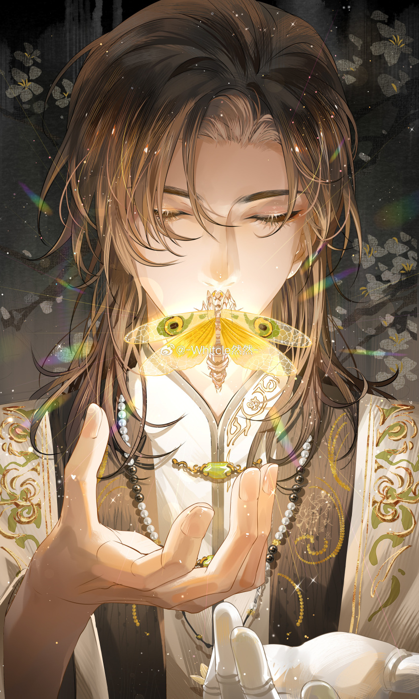 1boy, absurdres, brown_hair, bug, closed_eyes, closed_mouth, covered_mouth, curtained_hair