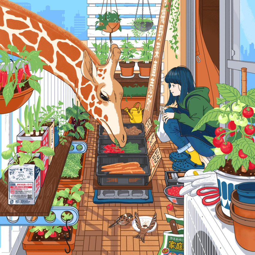 1girl, air_conditioner, animal, apron, beetroot, bird, black_hair, blue_apron, blue_footwear, blue_pants, building, carrot, city, crocs, day, flower_pot, garden, giraffe, gloves, green_jacket, hanging_plant, highres, jacket, looking_at_animal, mizukawa_masaya, original, outdoors, pants, plant, potato, potted_plant, scenery, shelf, socks, sparrow, squatting, tomato, tomato_plant, unworn_gloves, vines, watering_can, yellow_socks