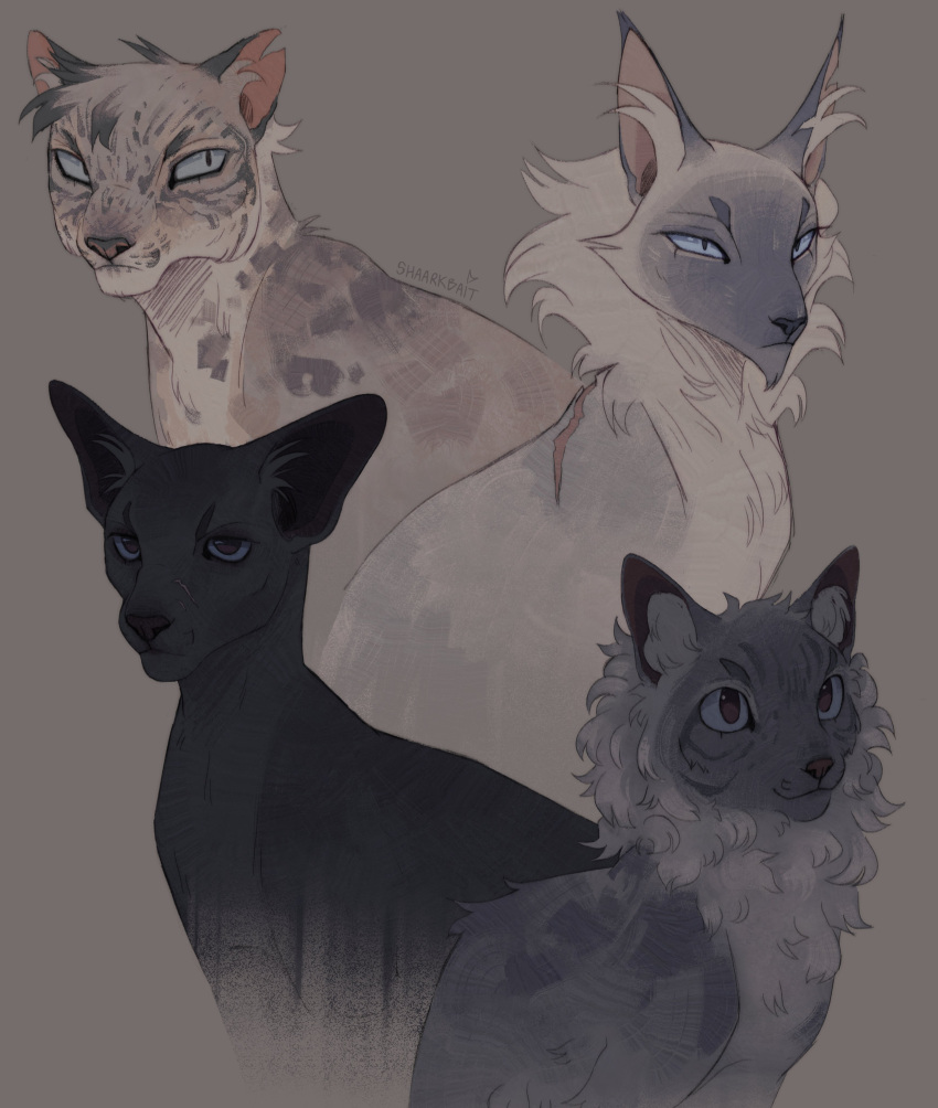 absurdres, animal_focus, ashfur, black_cat, blue_eyes, bluestar_(warrior_cats), cat, cinderpelt