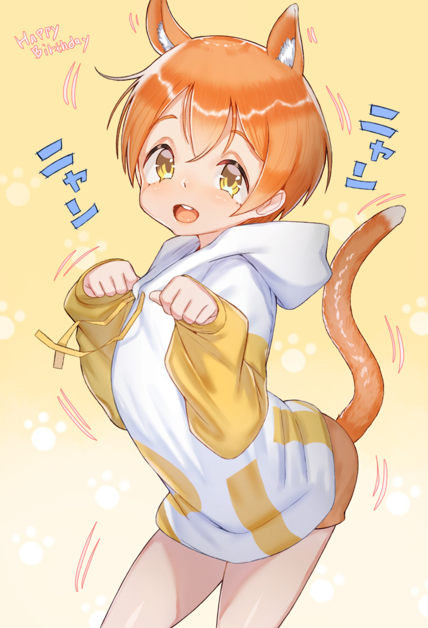1girl, absurdres, animal_ear_fluff, animal_ears, bare_legs, cat_ears, cat_girl, cat_tail
