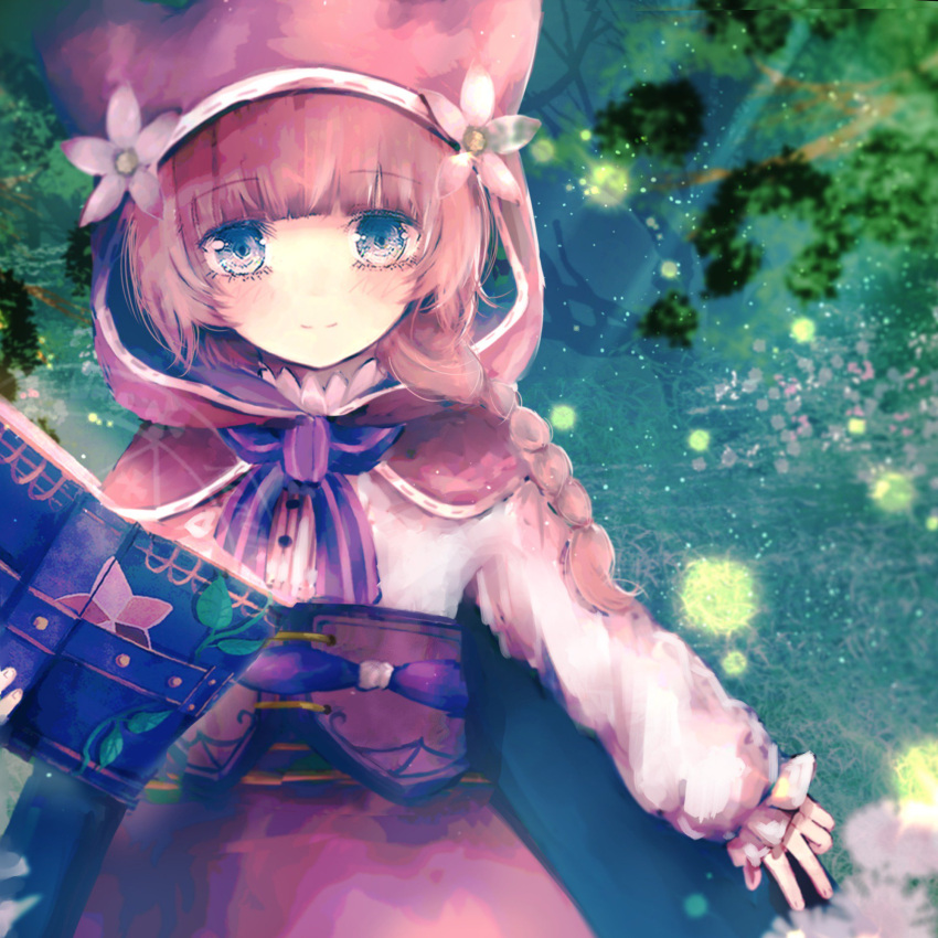 1girl, animal_hood, blue_eyes, book, braid, brown_hair, cape, dogezachan