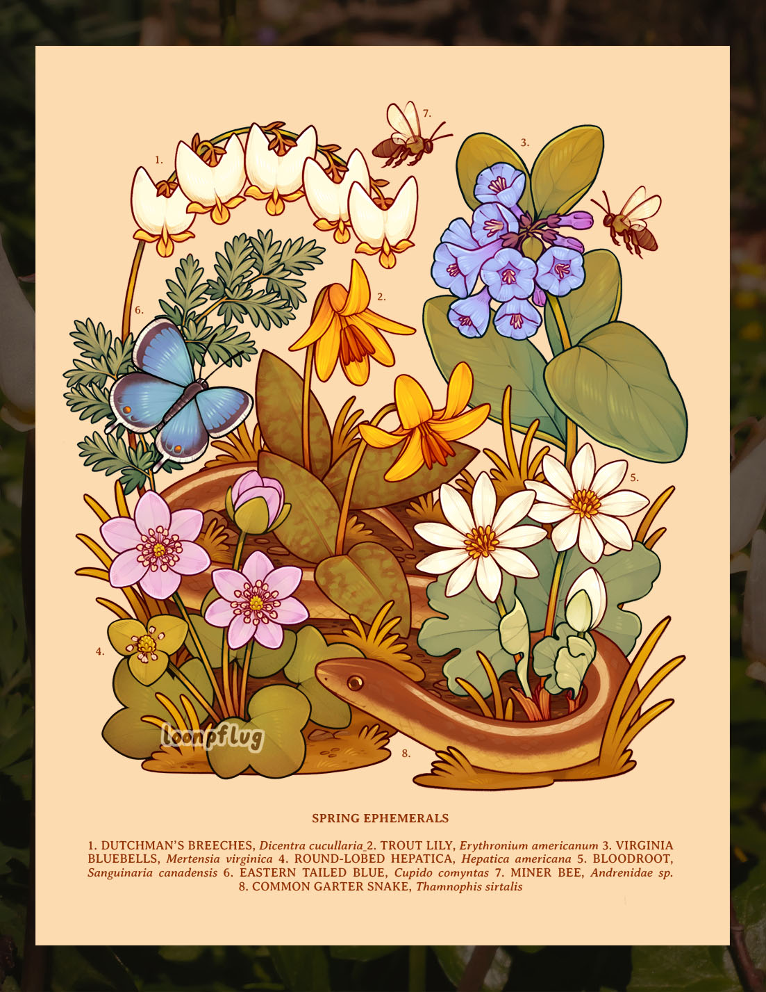animal, animal_focus, bee, blue_butterfly, bluebell_(flower), bug, butterfly, commentary