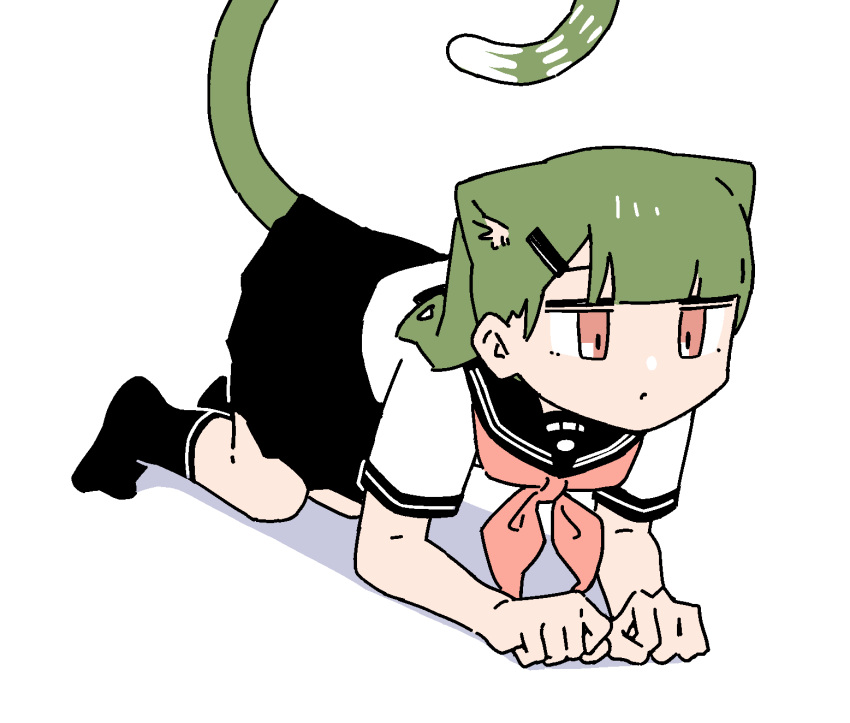 :o, all_fours, animal_ears, animated, animated_gif, black_socks, bow, cat_ears