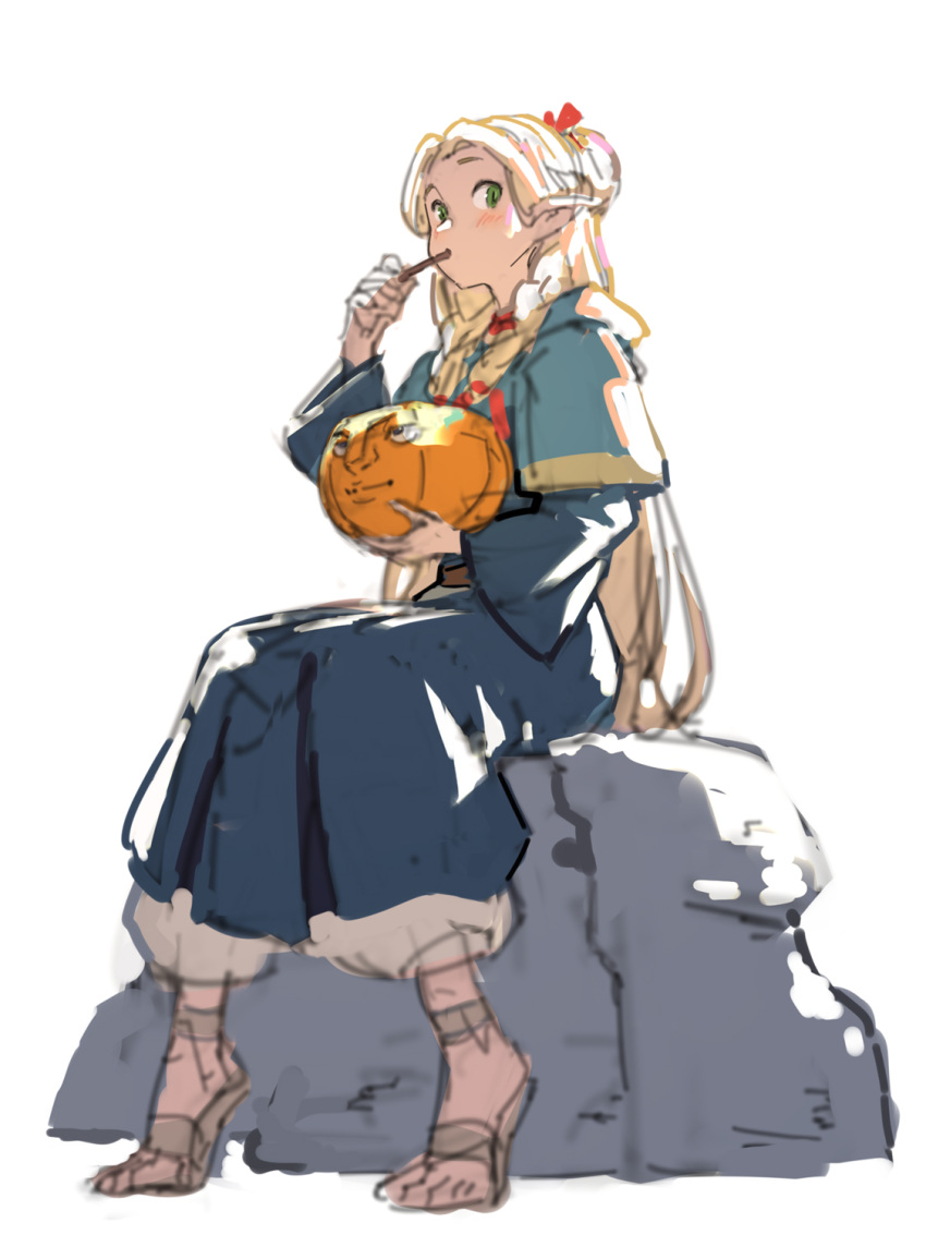 1girl, blonde_hair, blue_capelet, blue_robe, braid, brock_(pokemon), capelet, dryad_fruit_(dungeon_meshi)