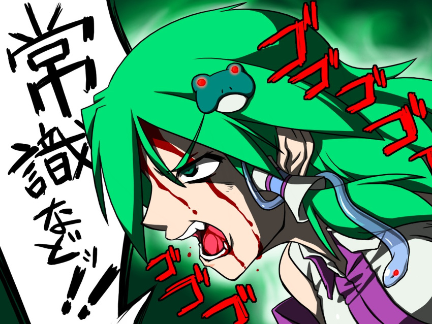 blood, cinnamon_sabaku, detached_sleeves, frog, green_eyes, green_hair, hair_ornament, kochiya_sanae