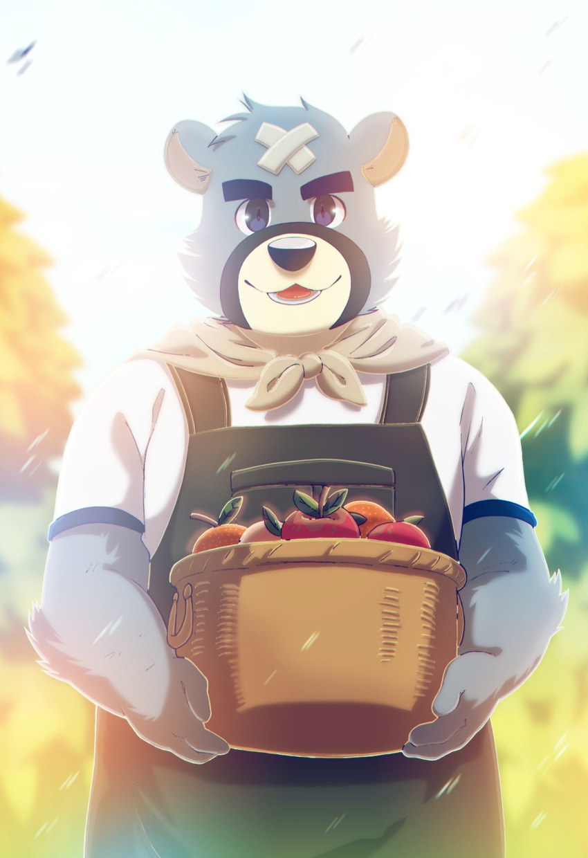 1boy, animal_crossing, animal_ears, apple, bandaid, bandaid_on_face, bandaid_on_forehead, basket