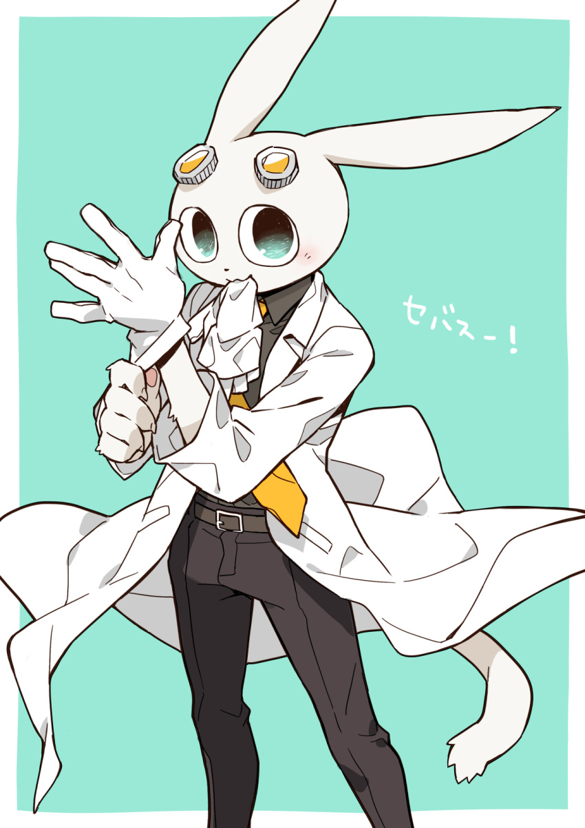 1boy, belt, black_pants, black_shirt, blush, border, brown_belt, coat, collared_shirt, dr._sebastian, furry, furry_male, giant_ojou-sama, glove_in_mouth, gloves, highres, kuro_nezumi_inu, looking_at_viewer, male_focus, mouth_hold, necktie, pants, putting_on_gloves, rabbit_boy, shirt, solo, translation_request, white_border, white_coat, yellow_necktie