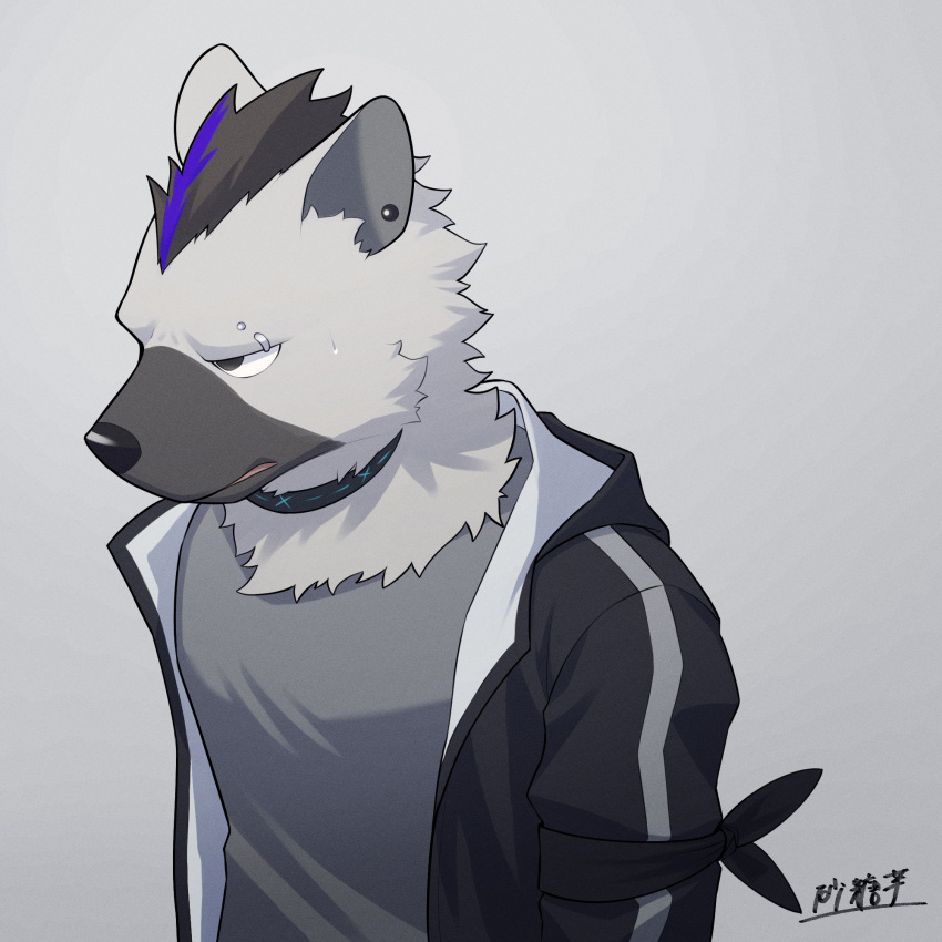 1boy, annoyed, arknights, armband, black_hair, black_jacket, commentary_request, ear_piercing, eyebrow_piercing, furry, furry_male, grey_background, grey_shirt, highres, hood, hood_down, hooded_jacket, hyena_boy, hyena_ears, infection_monitor_(arknights), jacket, looking_to_the_side, male_focus, multicolored_hair, oimo_osato_0322, open_mouth, piercing, shirt, signature, spot_(arknights), streaked_hair, sweatdrop