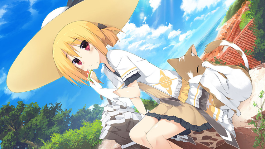 blonde_hair, blue_sky, blush, cardigan, cat, clouds, cloudy_sky, dutch_angle