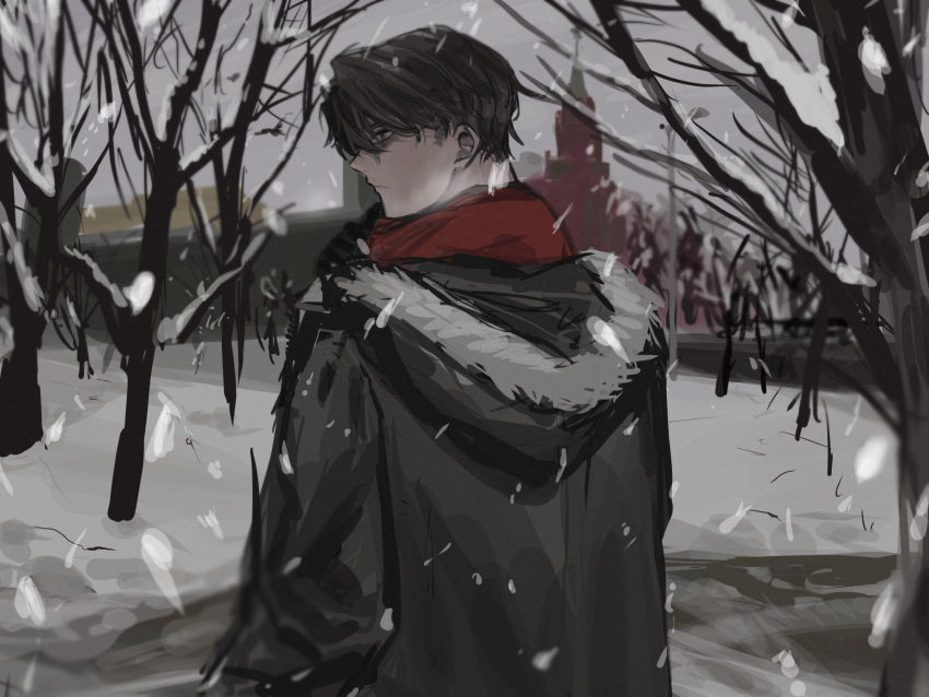 1boy, black_jacket, fur-trimmed_hood, fur_trim, highres, hood, hood_down, hooded_jacket