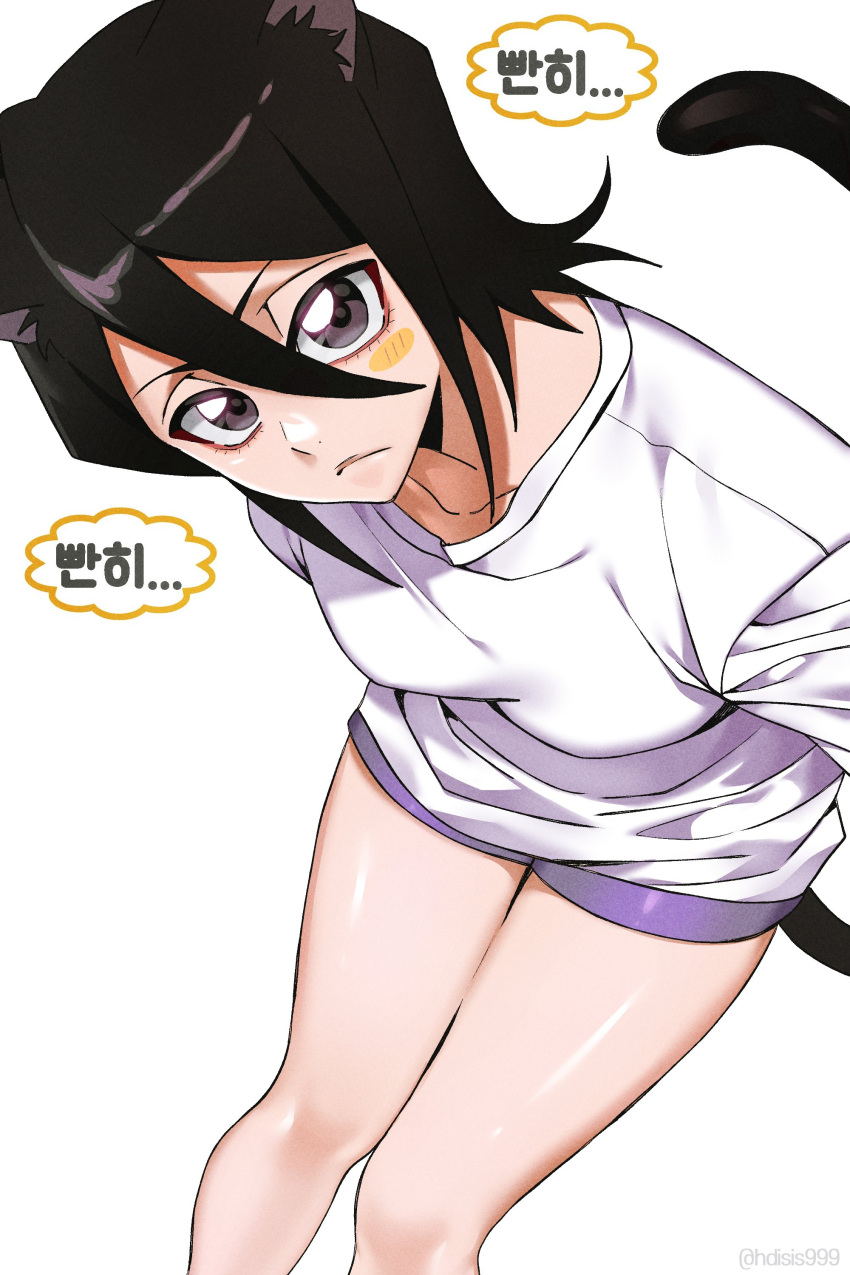1girl, absurdres, animal_ears, black_hair, bleach, blush, breasts, cat_ears