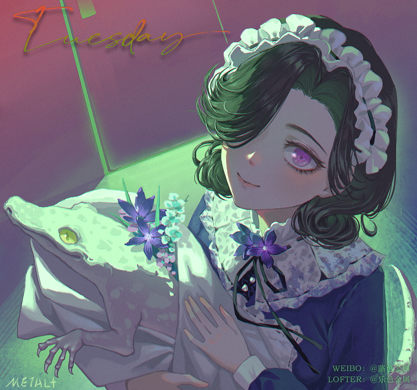 1girl, artist_name, black_hair, black_ribbon, blanket, character_name, crocodilian, dress, flower, hair_over_one_eye, holding, holding_blanket, long_sleeves, looking_at_viewer, maid, maid_headdress, metal_0521, neck_flower, neck_ribbon, one_eye_covered, purple_background, purple_dress, purple_flower, reverse:1999, ribbon, short_hair, sidelighting, smile, solo, swaddled, tuesday_(reverse:1999), upper_body, violet_eyes