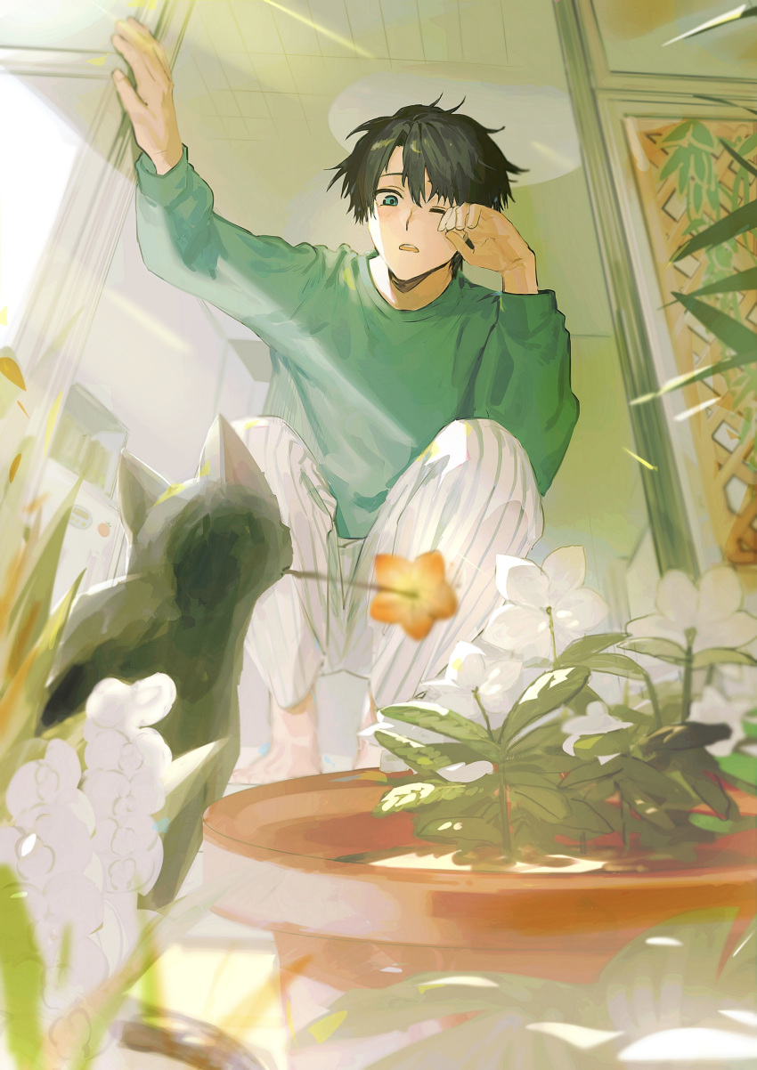 1boy, absurdres, animal, arm_up, barefoot, black_cat, black_hair, blue_eyes