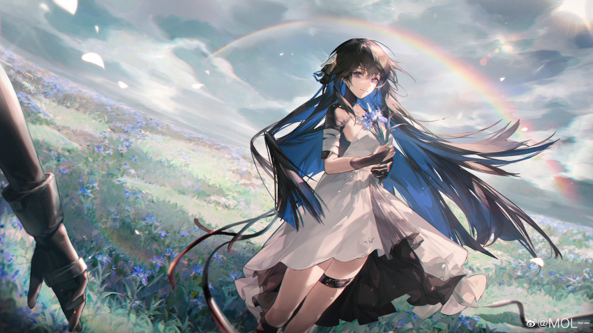 1girl, absurdres, black_hair, blue_flower, clouds, cloudy_sky, dress, field