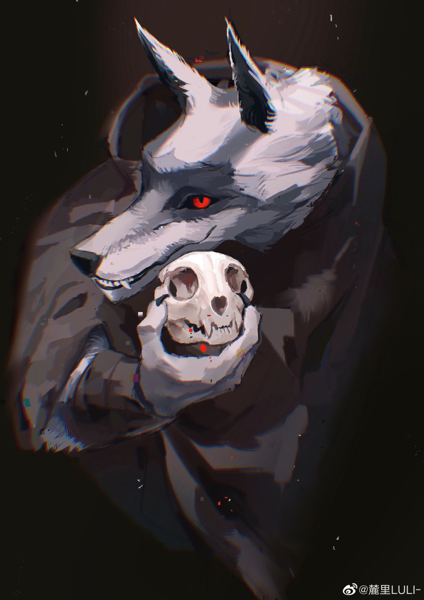 1boy, absurdres, animal_skull, body_fur, brown_cloak, cloak, death_(puss_in_boots), furry, furry_male, grey_fur, highres, holding, holding_skull, looking_at_viewer, luli_(crocowolf333), male_focus, puss_in_boots:_the_last_wish, red_eyes, shrek_(series), skull, smile, solo, teeth, weibo_watermark, wolf_boy