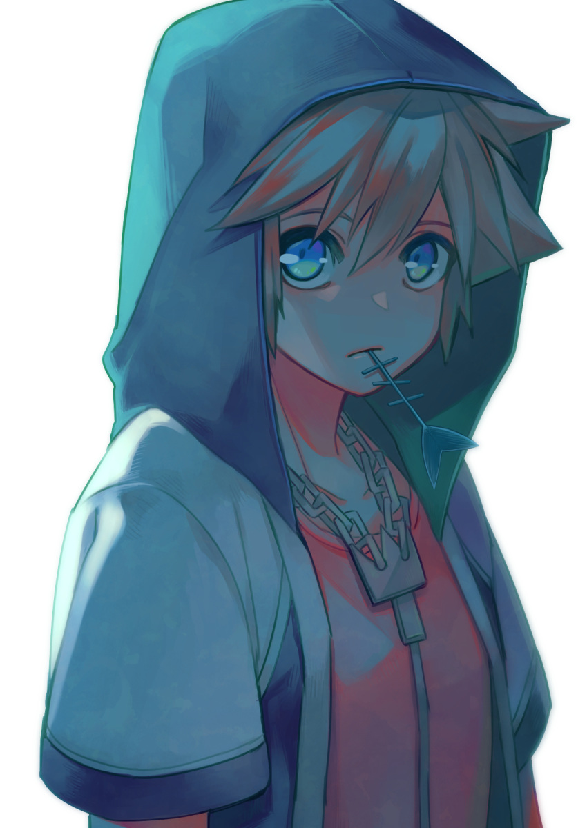 1boy, black_hood, blue_eyes, brown_hair, closed_mouth, collarbone, commentary_request, fish_bone