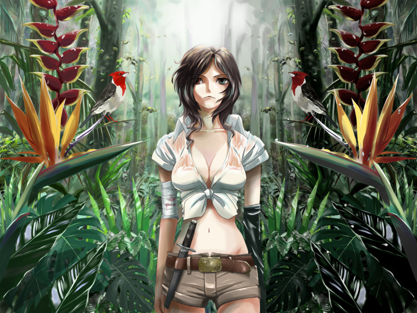 bandage, belt, bird, bird_of_paradise, breasts, cleavage, forest, front-tie_top, haya-g, heterochromia, jungle, knife, meiko, midriff, nature, navel, outdoors, shorts, solo, tied_shirt, vocaloid, weapon, white_shirt