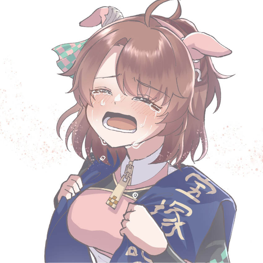 1girl, ahoge, amai_omoyu, animal_ears, blush, breasts, brown_hair, commentary_request