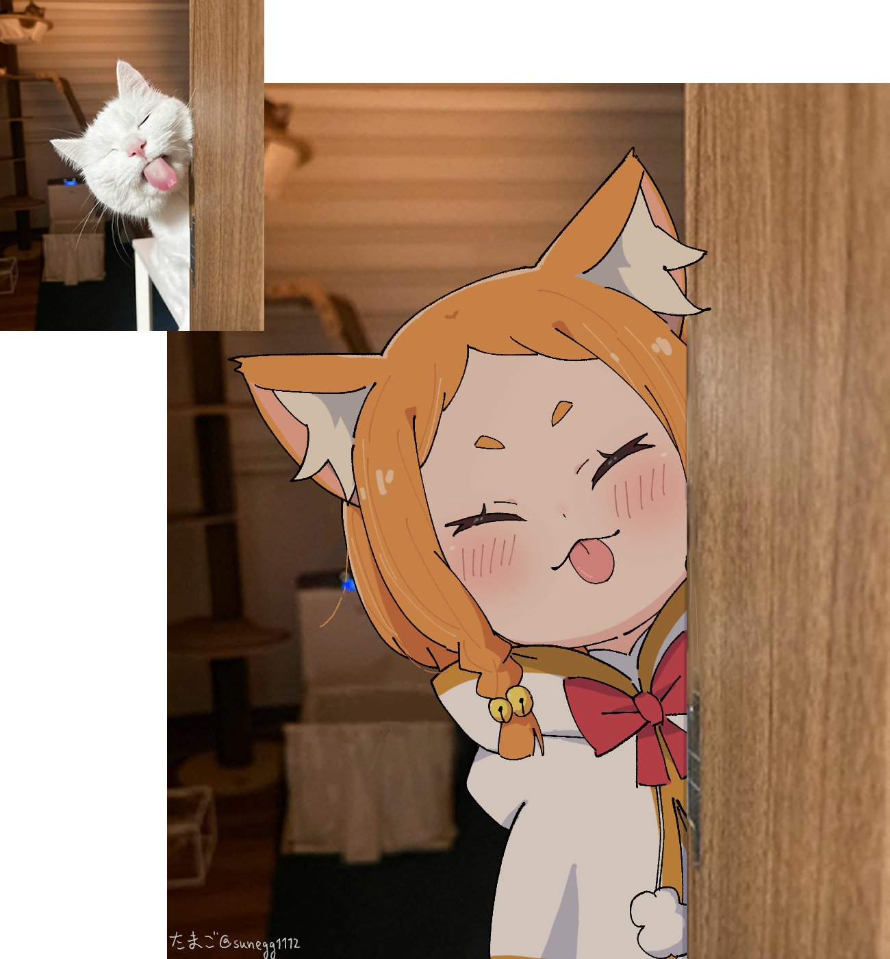 1girl, :3, animal_ear_fluff, animal_ears, artist_name, blush, bow, bowtie, braid, capelet, cat_ears, closed_eyes, commentary, forehead, highres, hood, hood_down, hooded_capelet, indoors, mimi_pearlbaton, orange_hair, photo-referenced, photo_background, photo_inset, re:zero_kara_hajimeru_isekai_seikatsu, red_bow, red_bowtie, reference_inset, short_eyebrows, short_hair, solo, sunegg1112, symbol-only_commentary, thick_eyebrows, tongue, tongue_out, twin_braids, twitter_username, upper_body, white_capelet