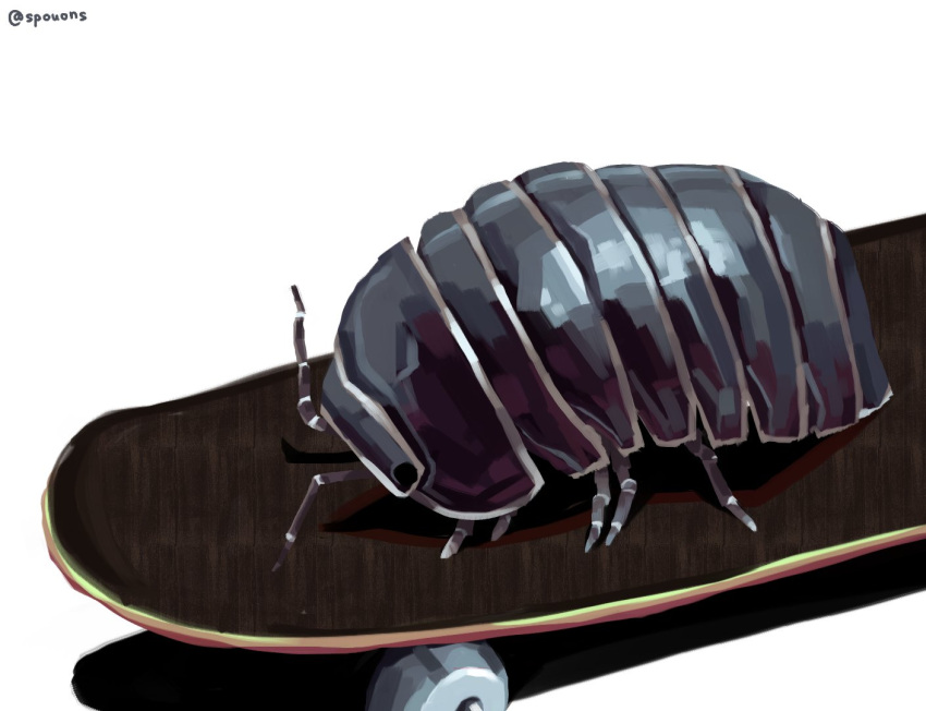 animal, animal_focus, antennae, giant_isopod, isopod, no_humans, original, pillbug, simple_background, skateboard, spouons, white_background