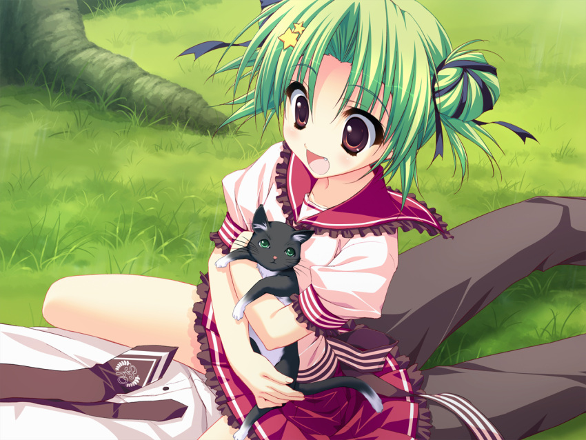animal, brown_eyes, cat, fang, game_cg, grass, green_hair, hoshizora_e_kakaru_hashi