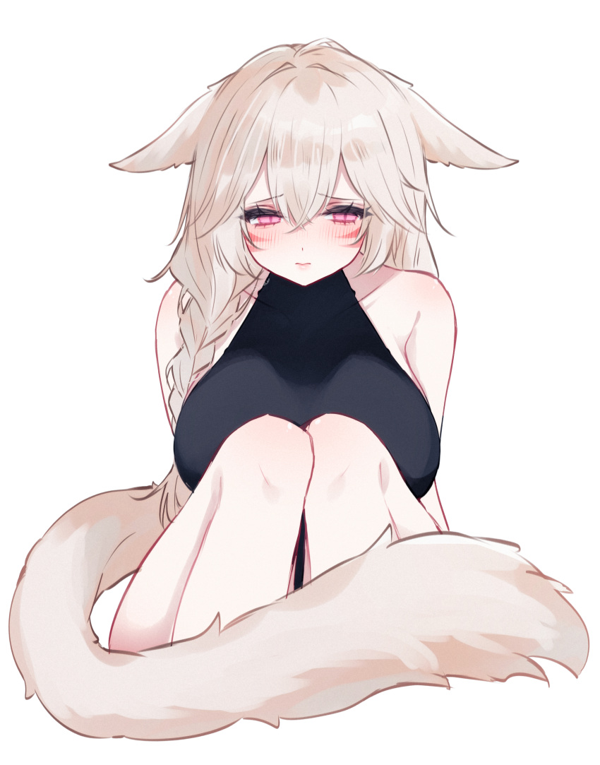1girl, absurdres, animal_ears, black_shirt, blush, braid, cat_ears, cat_girl
