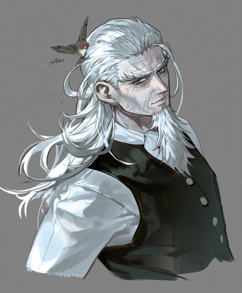 1boy, animal_on_head, ascot, beard, bird, bird_on_head, black_vest, cropped_torso