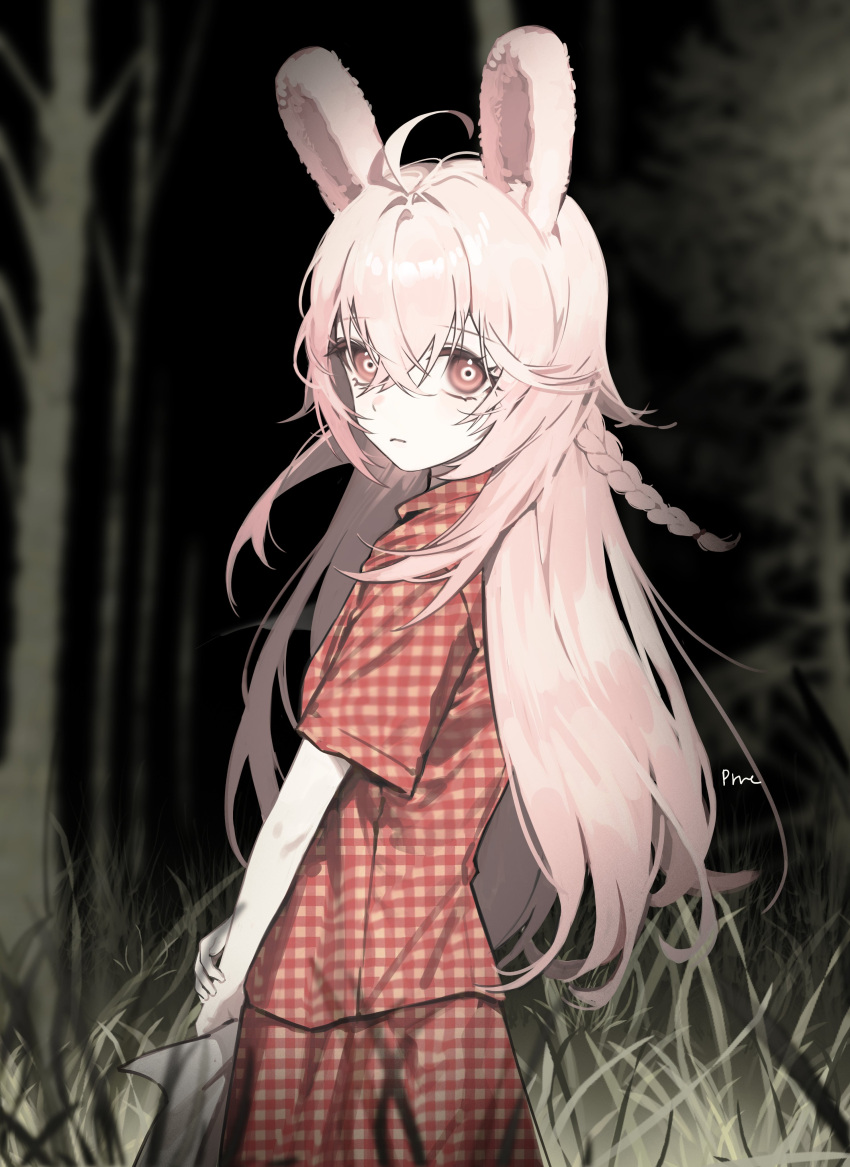 1girl, absurdres, ahoge, alternate_costume, animal_ear_fluff, animal_ears, braid, camera_flash
