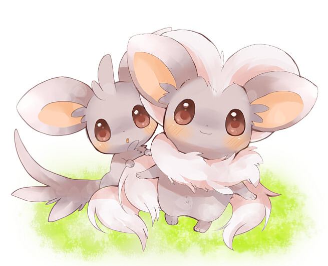 blush, brown_eyes, cinccino, closed_mouth, commentary, evolutionary_line, looking_at_viewer, minccino