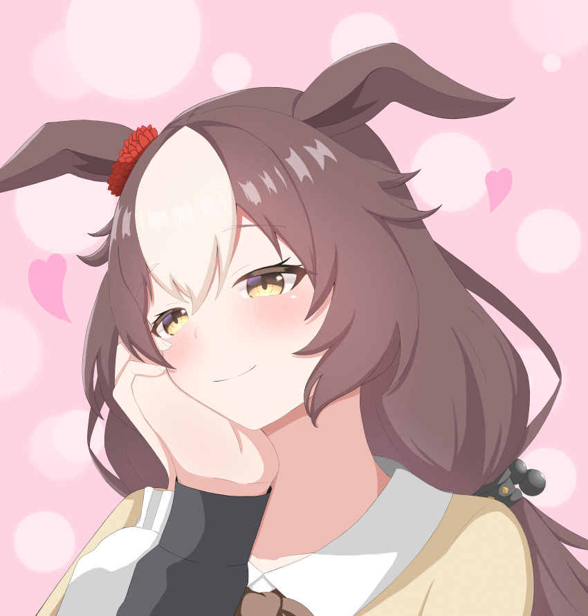 1girl, absurdres, animal_ears, blush, brown_eyes, brown_hair, casual, commentary_request