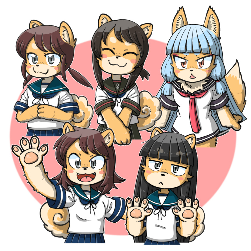 5girls, :3, animal_ears, black_hair, black_sailor_collar, blue_hair, blue_sailor_collar, blunt_bangs