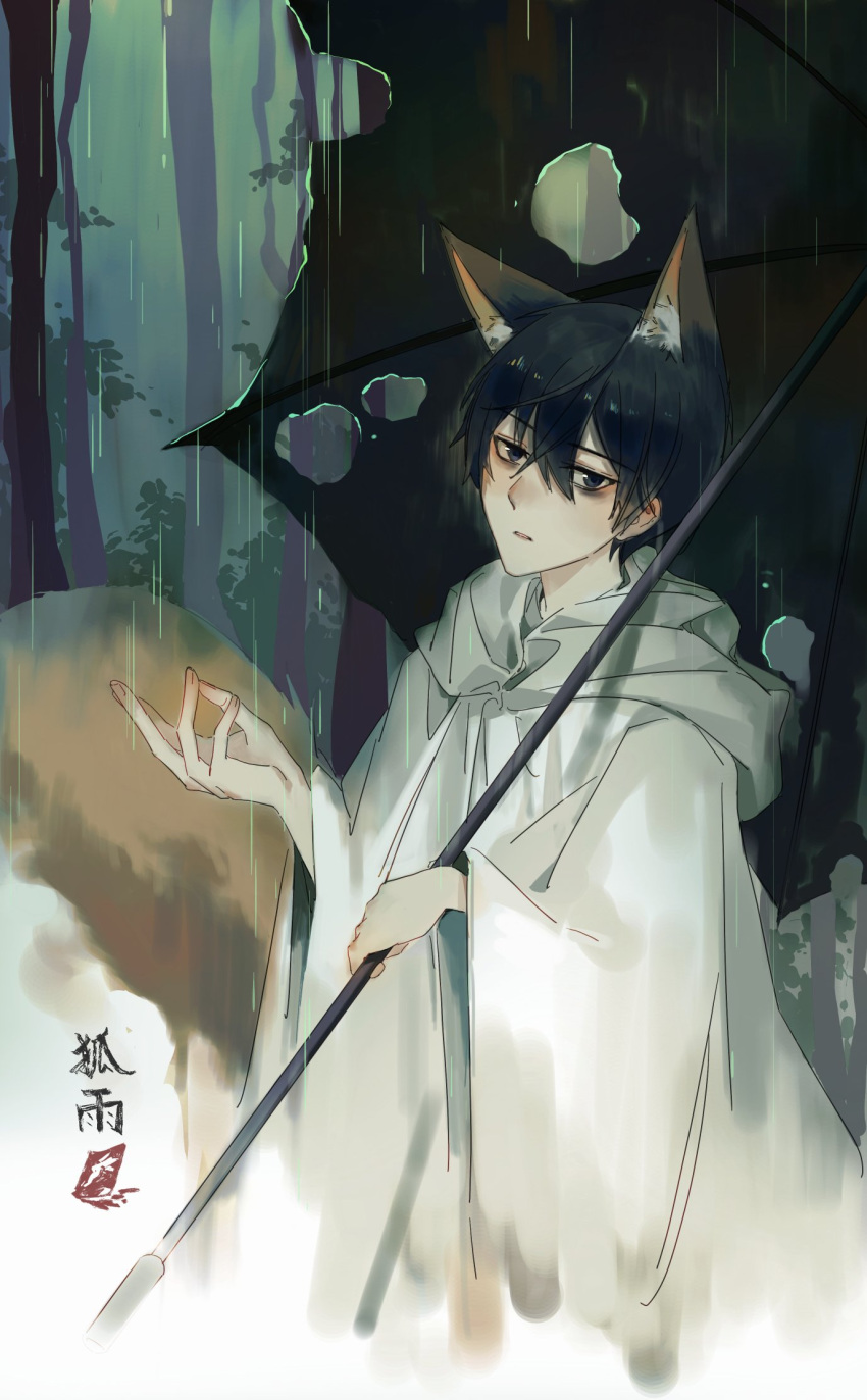 1boy, animal_ears, arthas, black_eyes, black_hair, e.g.o_(project_moon), fox_ears, fox_tail