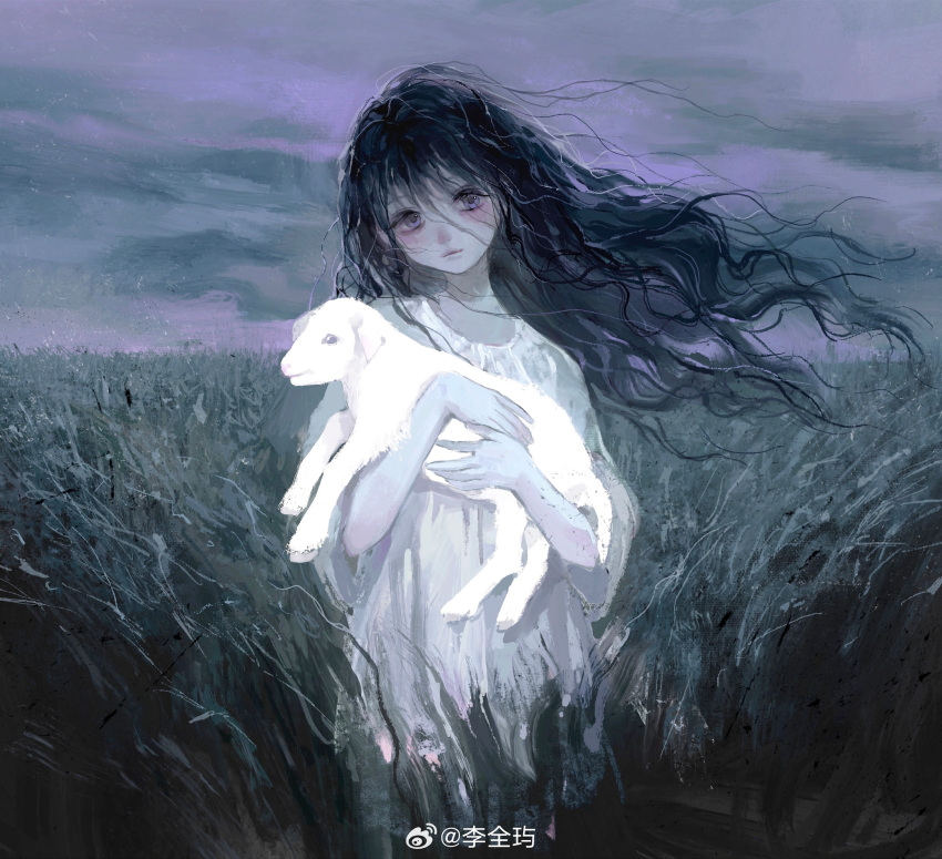 1girl, animal, black_hair, chinese_commentary, closed_mouth, clouds, cloudy_sky, commentary_request, cowboy_shot, dress, expressionless, eyelashes, field, floating_hair, grass, hair_between_eyes, highres, holding, holding_animal, lamb, light_blush, lips, liquanyu, long_hair, long_sleeves, original, outdoors, sheep, sky, solo, violet_eyes, wavy_hair, weibo_watermark, white_dress, wind
