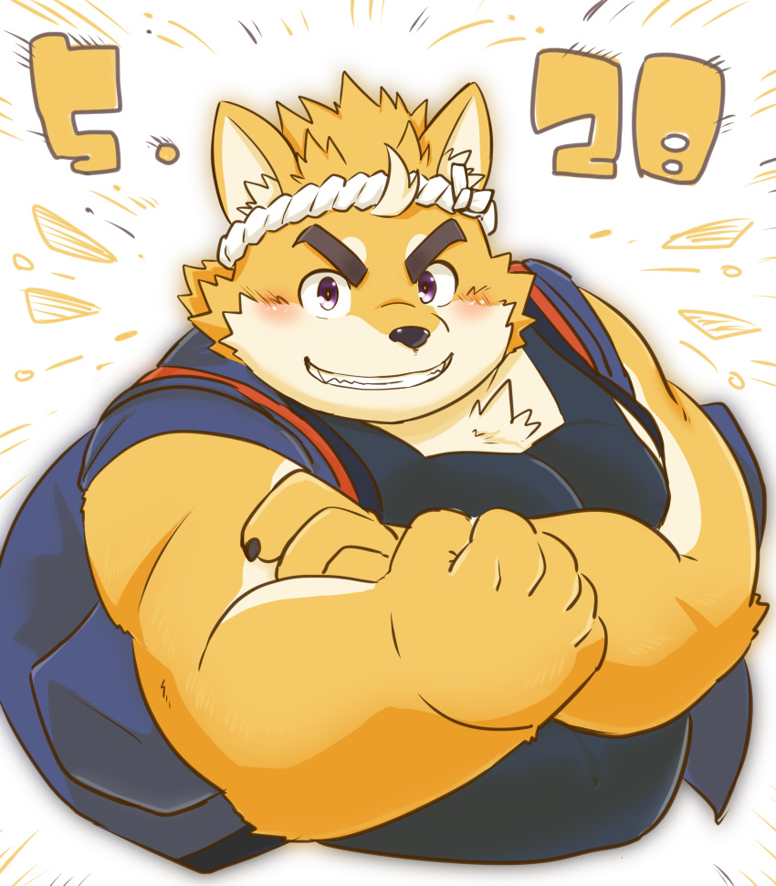 1boy, absurdres, animal_ear_fluff, animal_ears, belly, biceps, black_shirt, blue_kimono