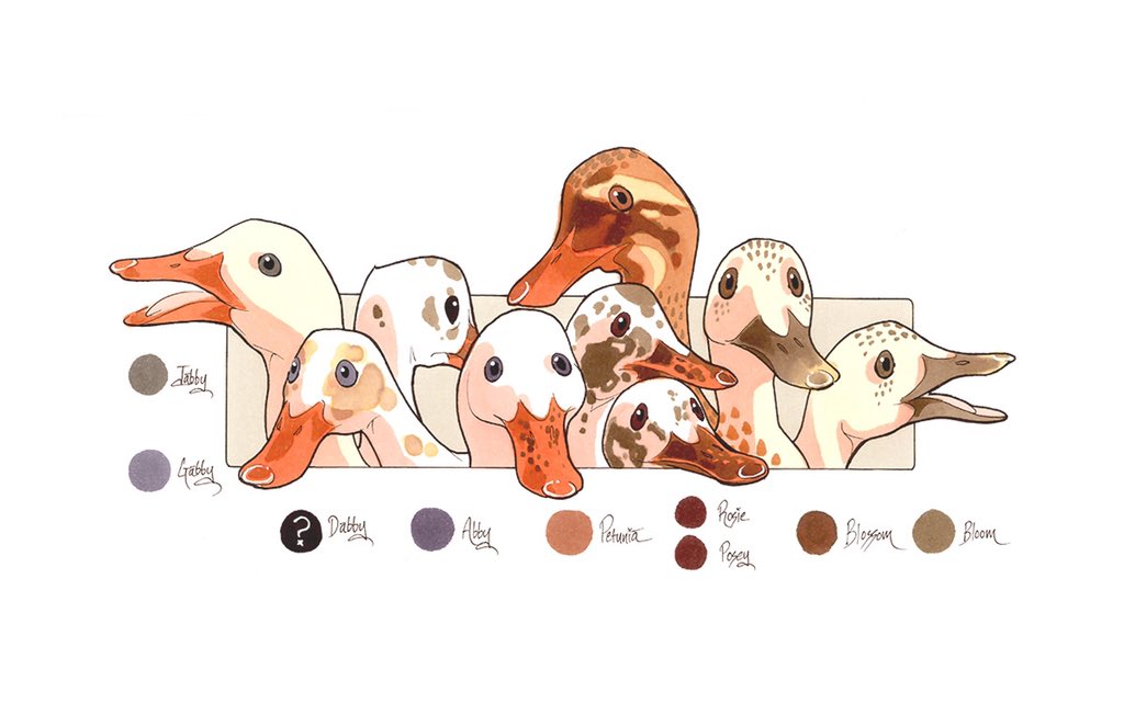 animal, animal_focus, beak, bird, black_eyes, border, brown_bird, brown_eyes