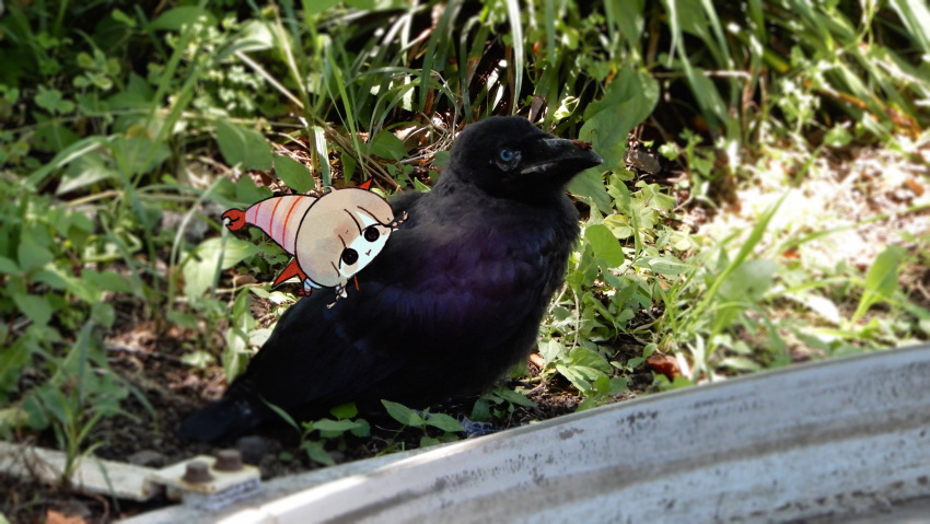1girl, absurdres, bird, blonde_hair, braid, closed_mouth, crow, day, food-themed_hat, highres, mini_person, minigirl, original, outdoors, pankichi_anko, photo_background, plant, red_wings, riding, riding_animal, solo, tareme, twin_braids, wings