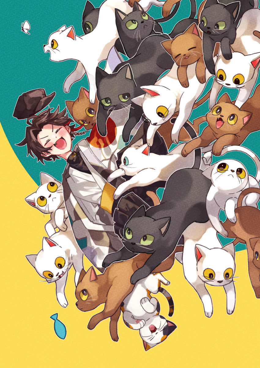 1boy, absurdres, black_cat, blush, brown_cat, brown_hair, brown_hat, bug