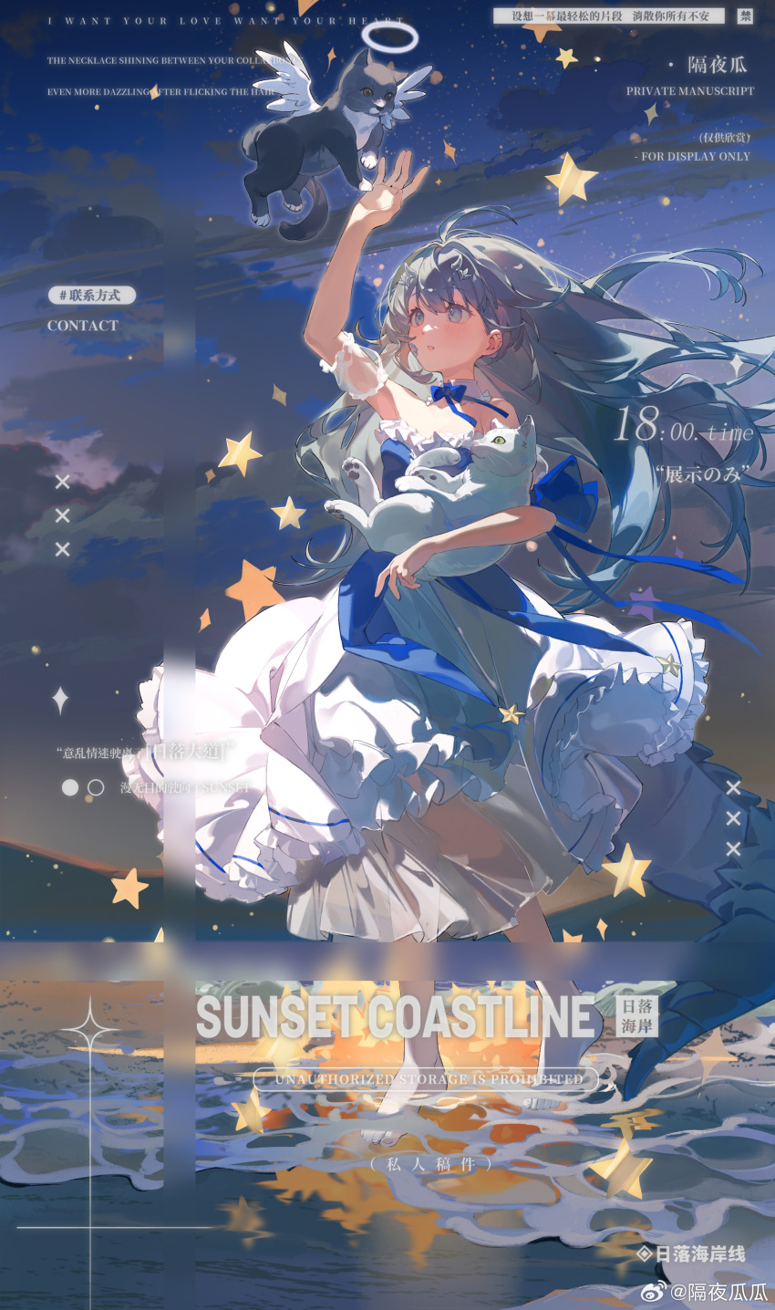1girl, :o, absurdres, ahoge, angel_wings, animal, bare_shoulders, barefoot, black_tail, blue_bow, blue_bowtie, blue_shirt, blue_sky, bow, bowtie, cat, chinese_commentary, clouds, collar, commentary_request, commission, detached_collar, detached_sleeves, dot_nose, dragon_girl, dragon_horns, dragon_tail, dress, dress_under_shirt, expressionless, eyelashes, feathered_wings, floating_clothes, floating_hair, frilled_dress, frilled_sleeves, frills, full_body, gradient_sky, grey_eyes, grey_hair, grey_horns, hair_intakes, halo, hand_up, highres, holding, holding_animal, holding_cat, horns, kaekaeki, light_blush, light_particles, long_dress, long_hair, looking_at_another, mountainous_horizon, multiple_horns, ocean, original, outdoors, parted_lips, pleated_dress, puffy_short_sleeves, puffy_sleeves, sample_watermark, see-through_clothes, see-through_sleeves, shirt, shore, short_sleeves, sky, small_horns, solo, star_(sky), star_(symbol), starry_sky, strapless, strapless_dress, strapless_shirt, tail, tareme, too_many_watermarks, traditional_halo, twilight, watermark, weibo_watermark, white_cat, white_collar, white_dress, white_halo, white_sleeves, white_wings, wind, wings