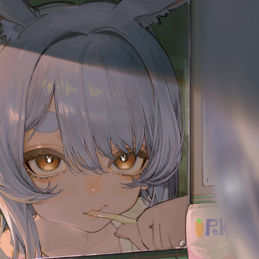 1girl, 87yanagi, absurdres, animal_ear_fluff, animal_ears, blue_hair, blurry, blurry_foreground