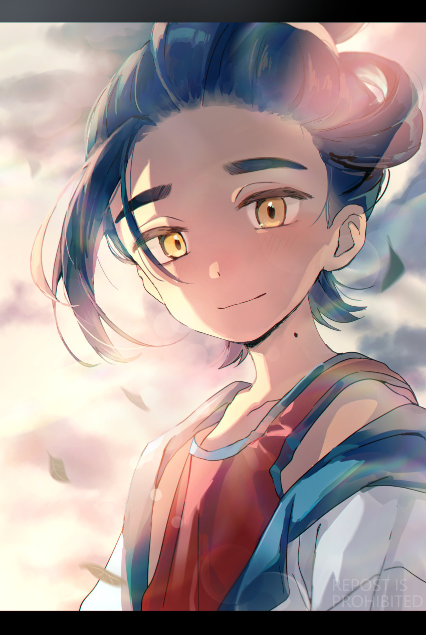 1boy, absurdres, black_hair, blush, closed_mouth, clouds, highres, huwatannpopo
