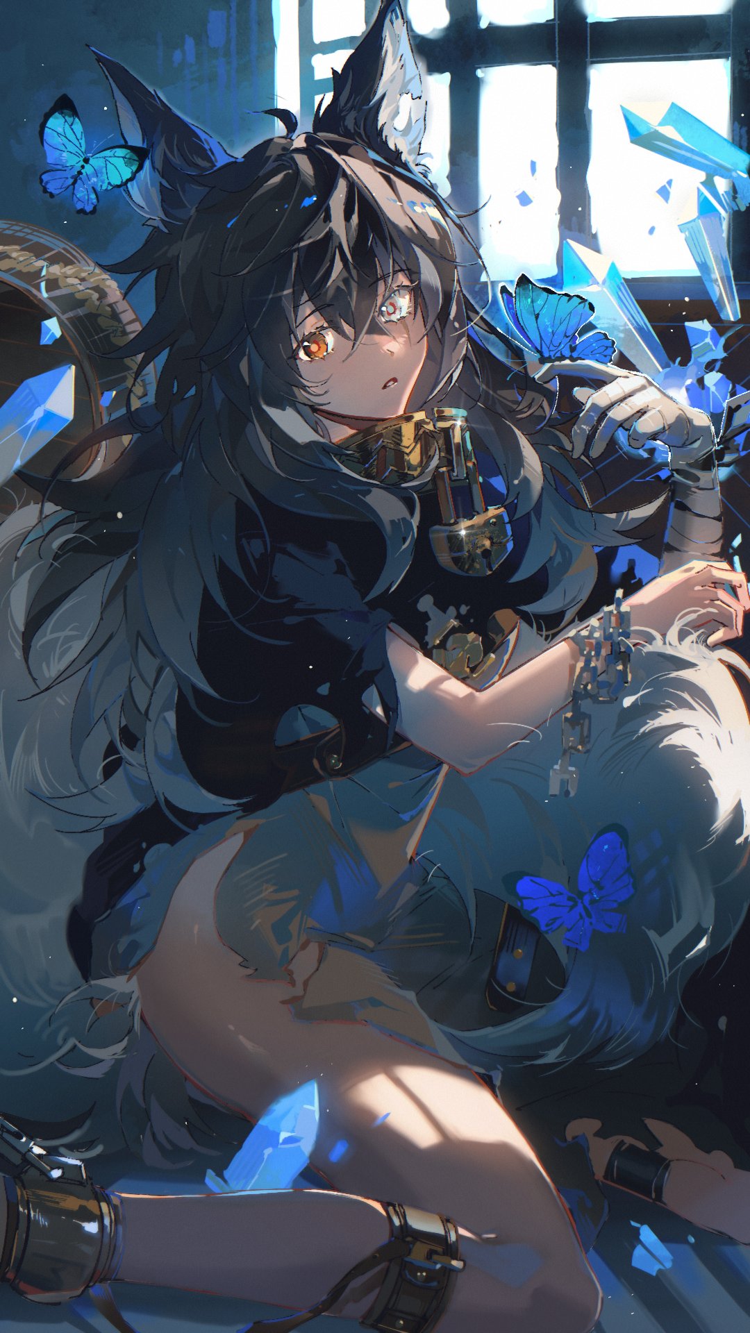 1girl, ahoge, animal_ears, bandaged_arm, bandages, black_hair, black_shirt, blue_butterfly, bright_pupils, brown_eyes, bug, butterfly, butterfly_on_hand, chain, collar, crystal, cuffs, dress, fox_ears, fox_girl, fox_tail, grey_dress, highres, humi_humi, indoors, knees, lock, looking_at_viewer, messy_hair, momo_(sword_of_convallaria), padlock, parted_lips, scar, scar_across_eye, shackles, shirt, sitting, solo, sword_of_convallaria, tail, thighs, wariza, white_pupils, white_sclera, window