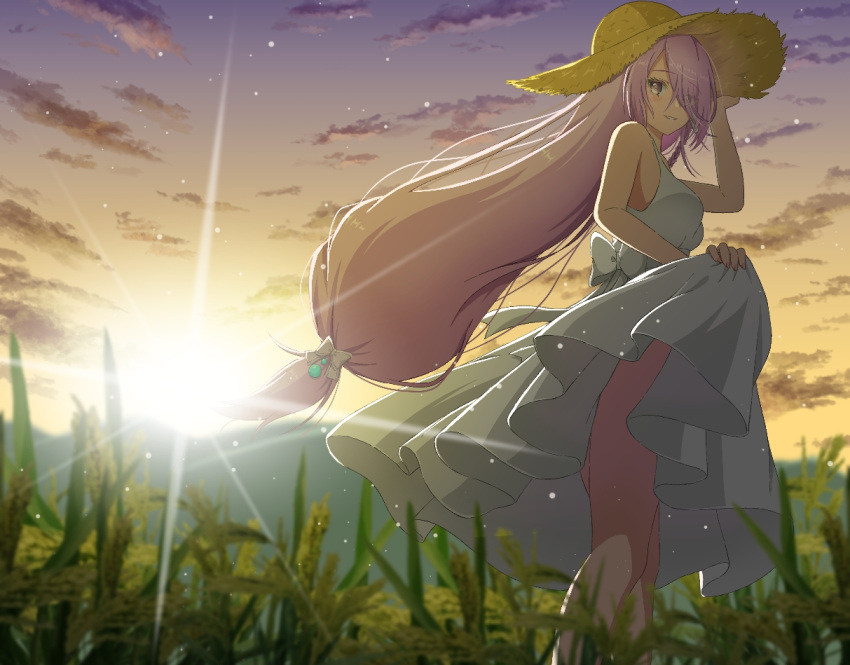 1girl, braid, breasts, clothes_lift, clouds, cloudy_sky, dawn, dress