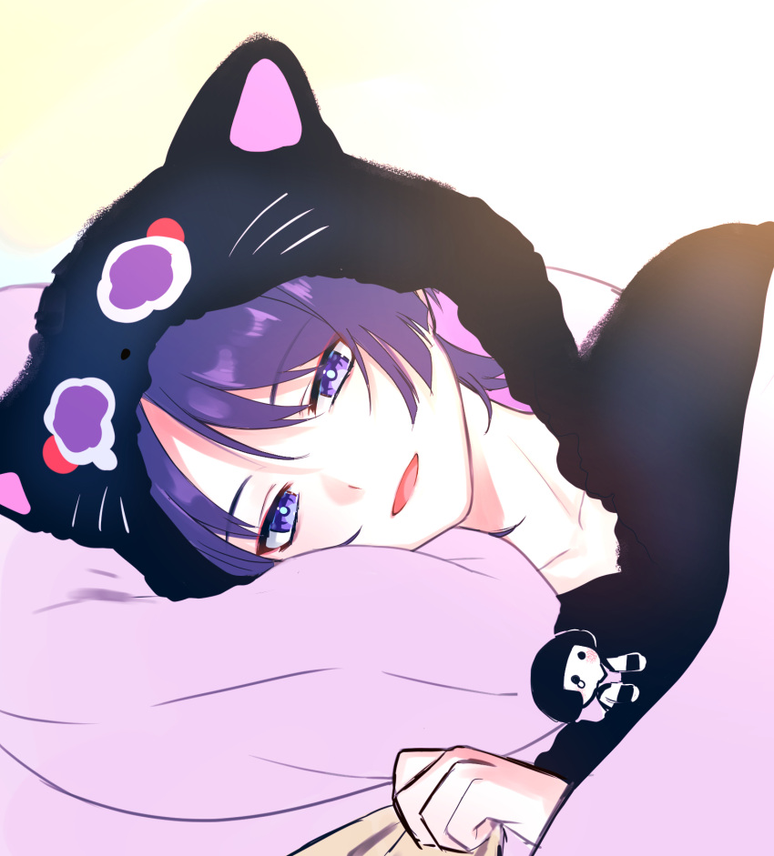 1boy, animal_hood, black_hoodie, blunt_ends, bright_pupils, cat_hood, collarbone, doll