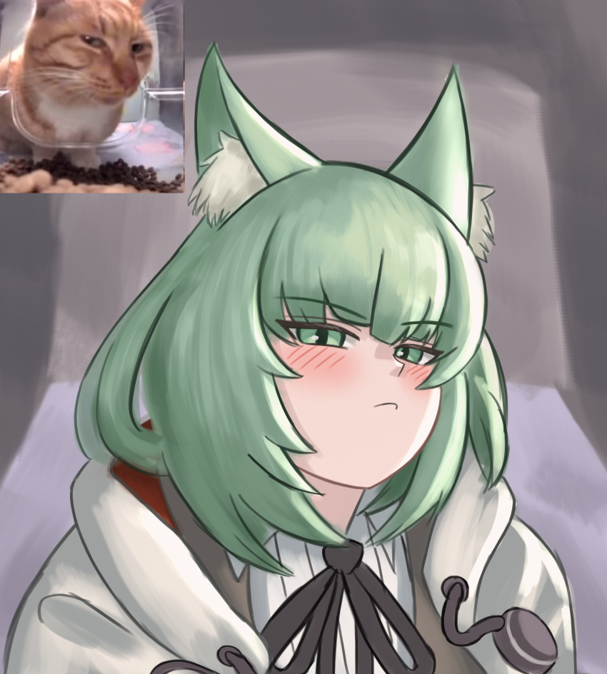 1girl, absurdres, animal_ear_fluff, animal_ears, arknights, black_ribbon, blush, brown_cardigan, cape, cardigan, cat_ears, cat_girl, green_eyes, green_hair, grey_background, harmonie_(arknights), highres, looking_at_viewer, medium_hair, meme, mintmosse, pout, real_life_insert, ribbon