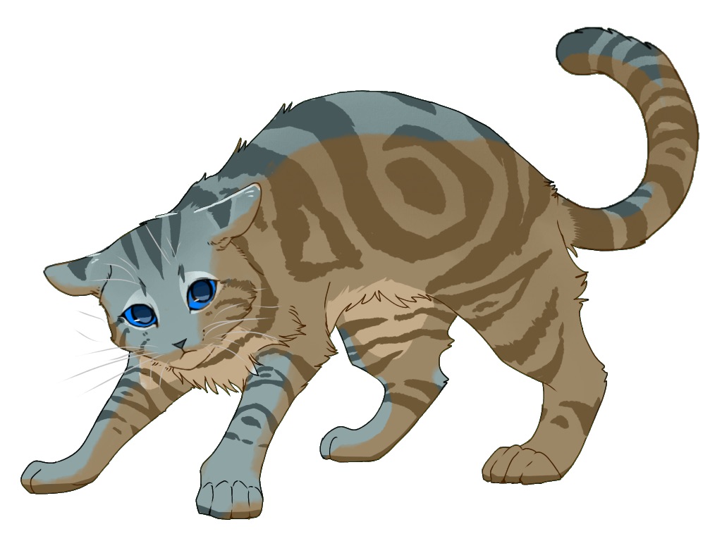 animal, animal_focus, blue_eyes, cat, character_request, commentary_request, fugu_(fugusunburst55), full_body, grey_cat, grey_fur, looking_at_viewer, no_humans, simple_background, solo, standing, tail, warrior_cats, whiskers, white_background