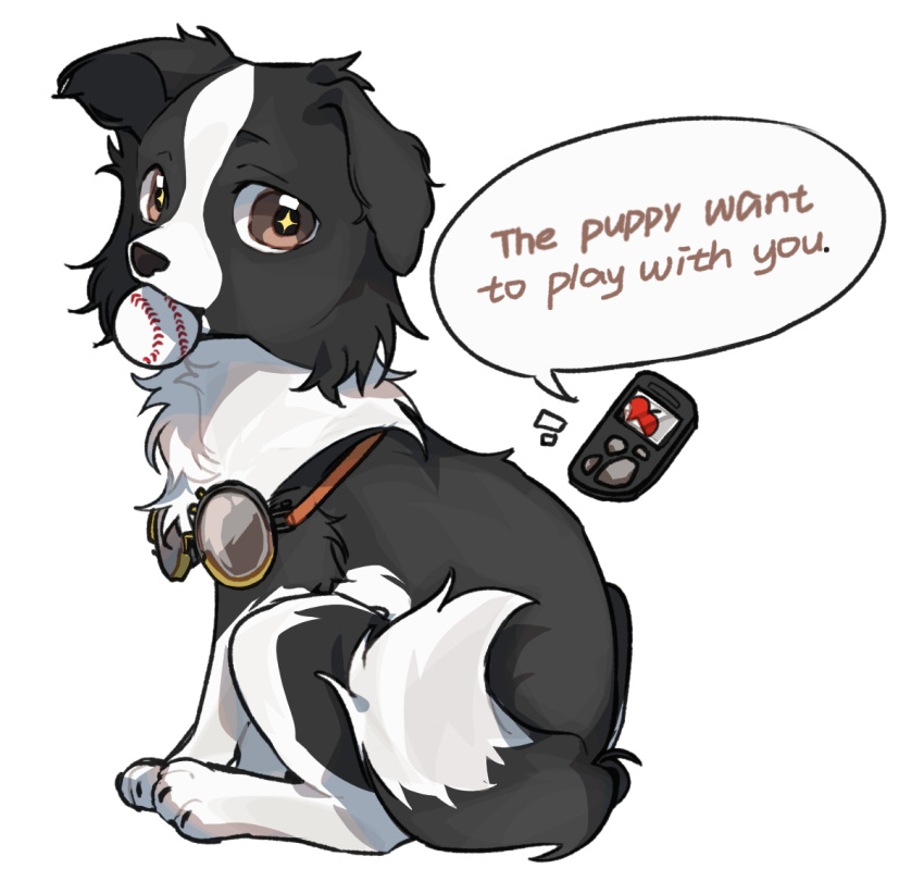 +_+, animal_focus, ball, baseball_(object), border_collie, device, dog, english_text